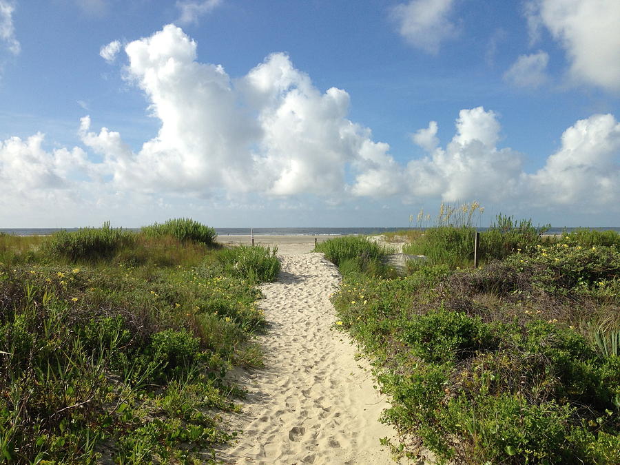 Pathway To Paradise Photograph By Angela Davis-dzvonik - Pixels