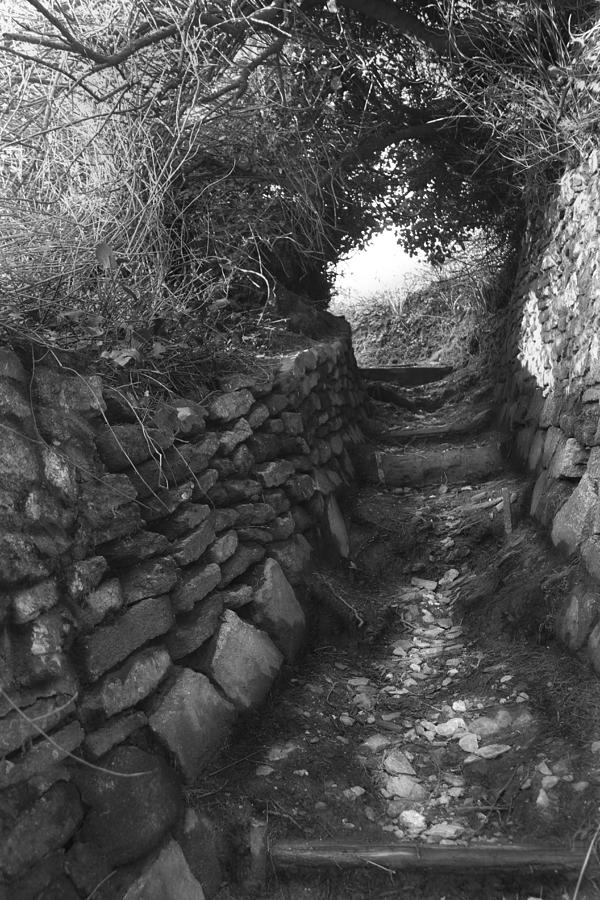Black And White Photograph - Pathway to Prussia Cove by Debra Jayne