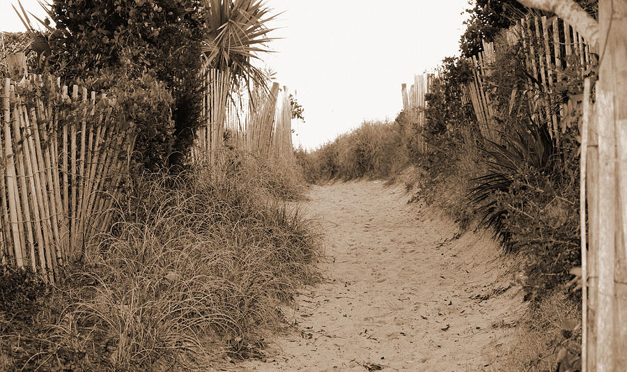 Pathway To The Beach Photograph by Cynthia Guinn