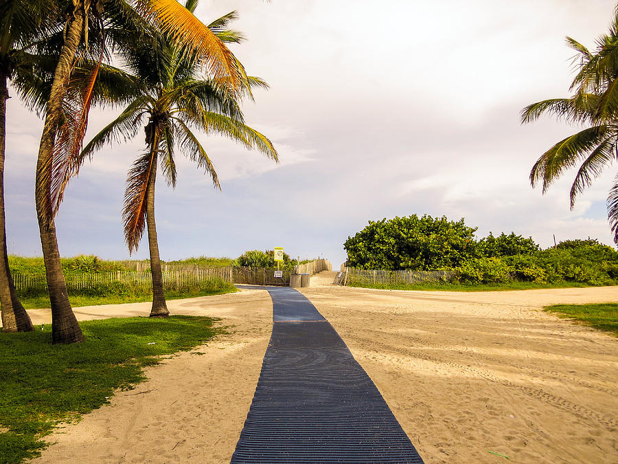 Nature Photograph - Pathway to the beach by Zina Stromberg