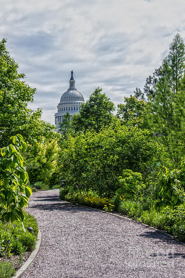 Pathway To The Capital Photograph by Tom Gari Gallery-Three-Photography ...