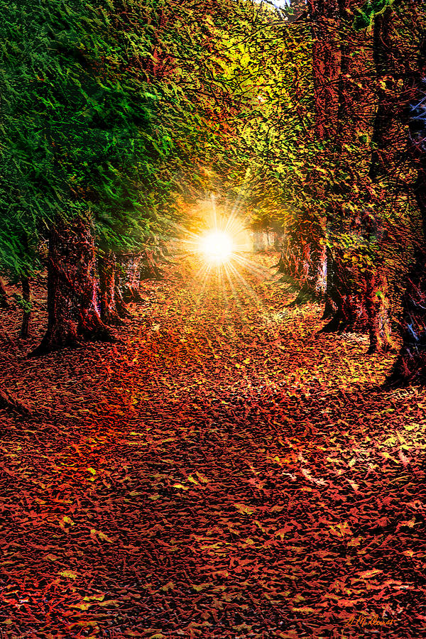 Tree Digital Art - Pathway to the Heart by Michael Durst