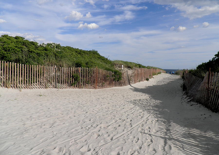 Pathway To The Sea Photograph by Kate Gallagher | Fine Art America