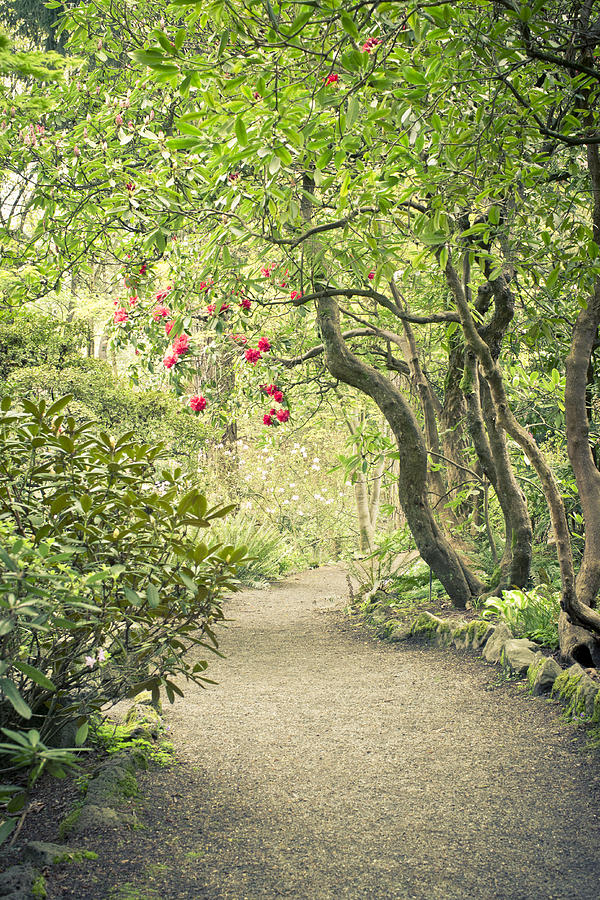 Pathway To The Secret Garden Photograph by Priya Ghose