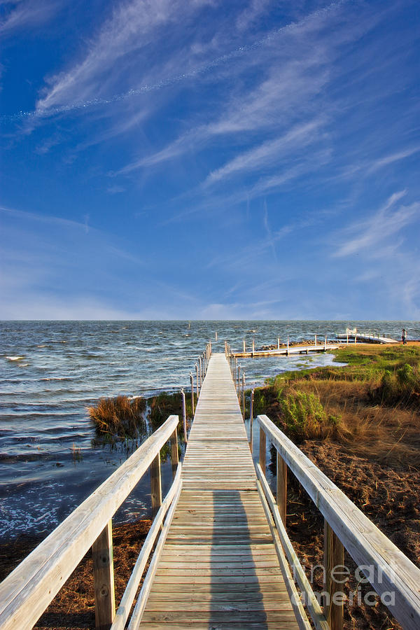 Pier Photograph - Pathway To The Water by Tom Gari Gallery-Three-Photography