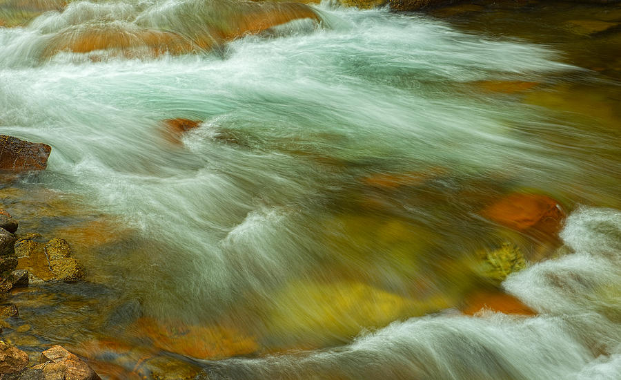 Water Photograph - Patience And Passion by Tim Reaves