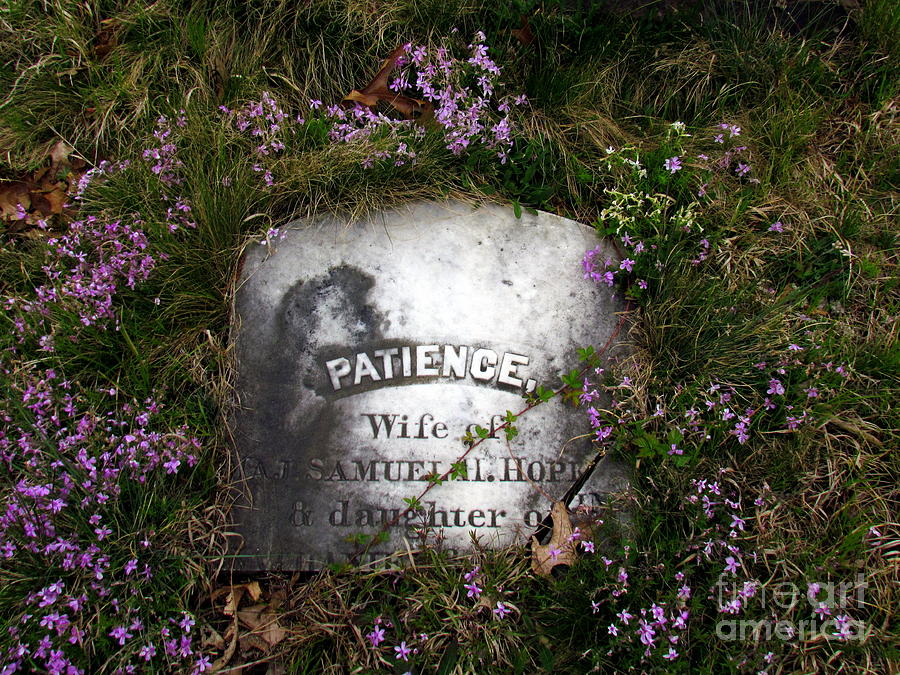 Patience Photograph by Lili Feinstein