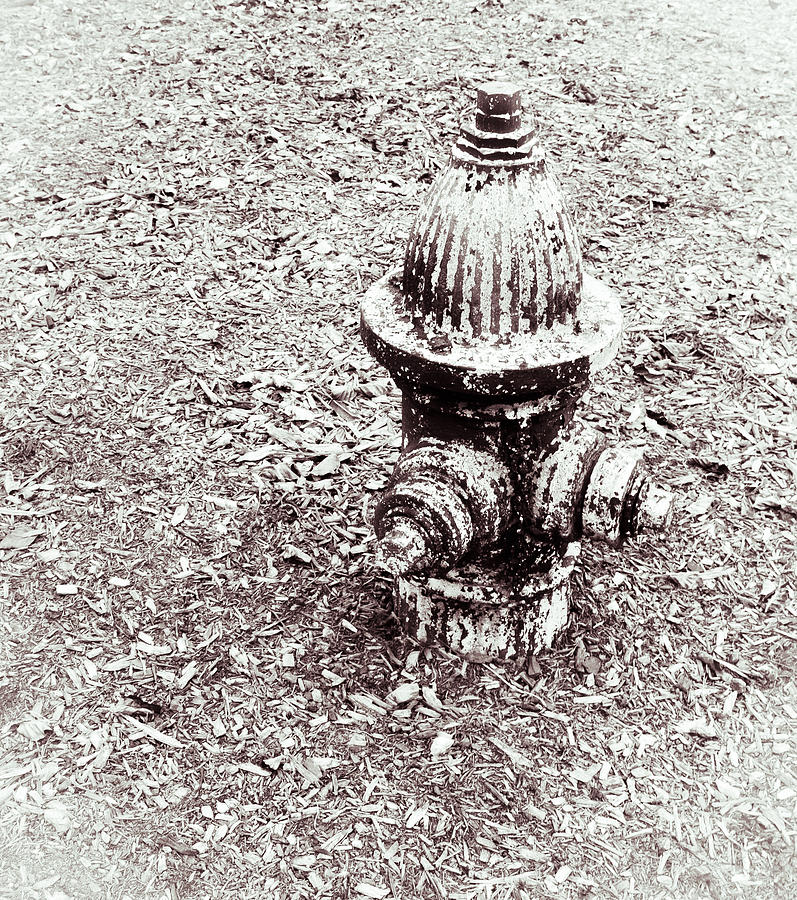 Patina on Firehydrant by Anne Boyes Patina on Firehydrant by Anne Boyes