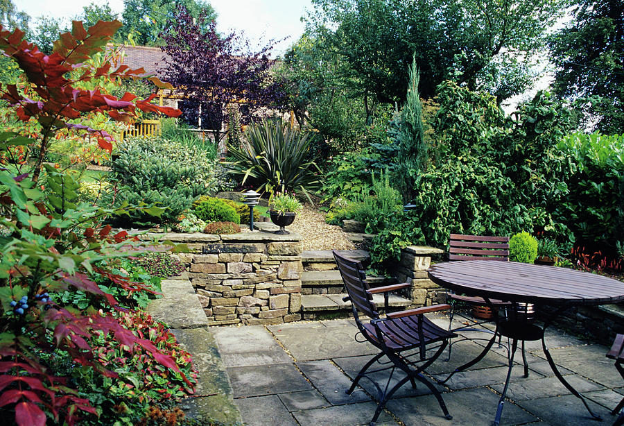 Patio In A Garden Photograph by Duncan Smith/science Photo Library