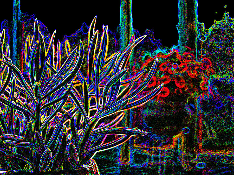Digital Digital Art - Patio Plants by James Granberry