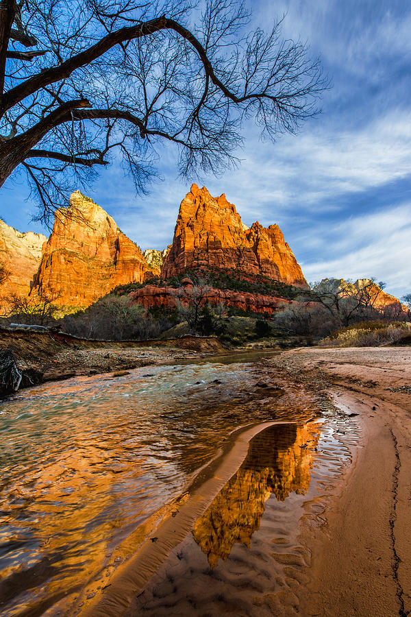 Winter Photograph - Patriarchs of Zion by Chad Dutson