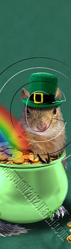 Wildlife Photograph - Patricks Day Squirrel # 386 by Jeanette K