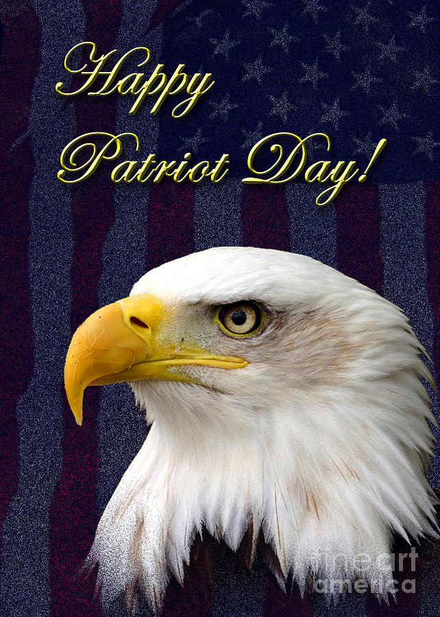 Eagle Photograph - Patriot Day Eagle by Jeanette K