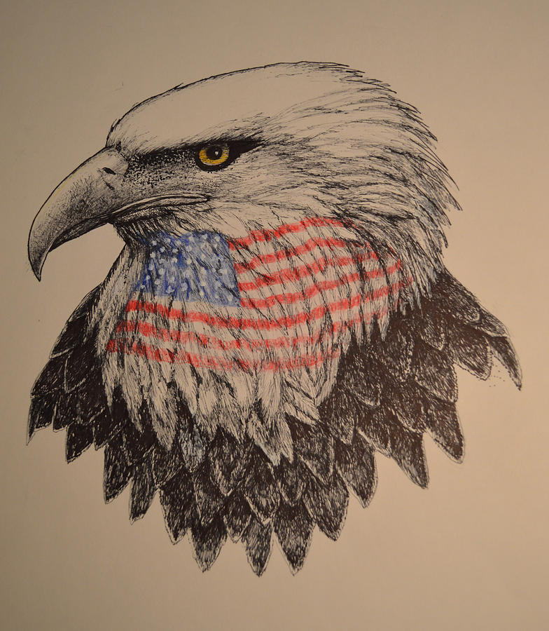 Patriot Drawing by Fritz DesRoches - Fine Art America