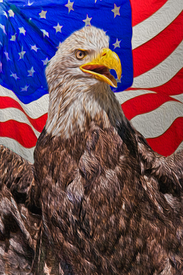 Eagle Photograph - Patriot by Matthew Bamberg