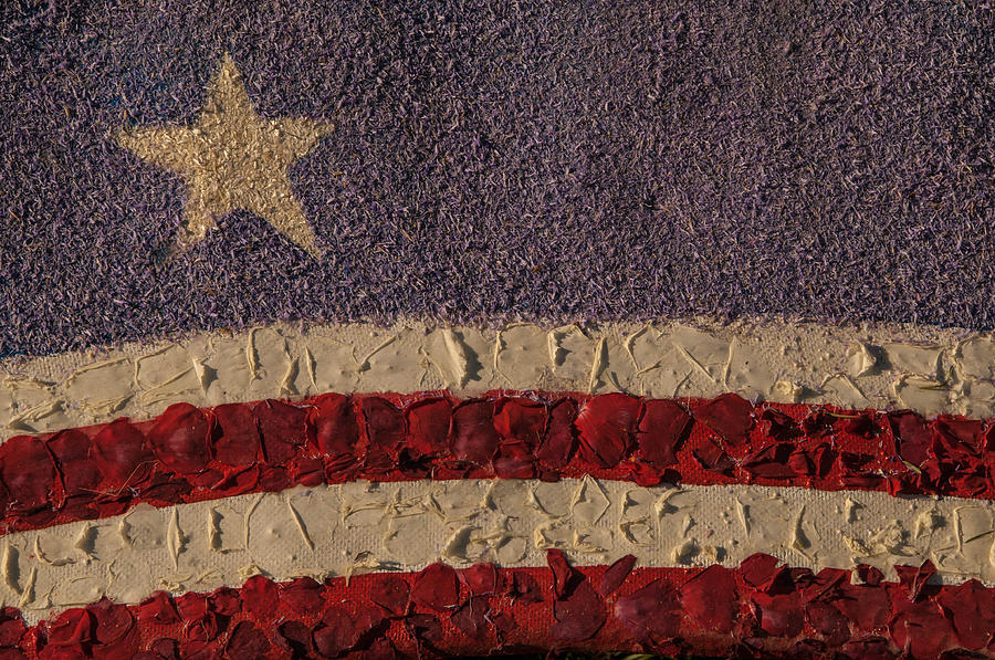 Patriotic Background horizontal Photograph by Connie Cooper-Edwards