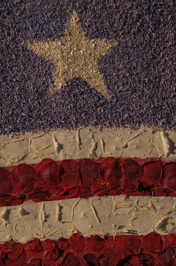 Patriotic Background vertical Photograph by Connie Cooper-Edwards