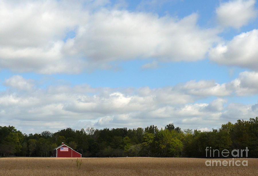 Barn Photograph - Patriotic Barn by Susan Olga Linville Barn Photograph - Patriotic Barn by Susan Olga Linville