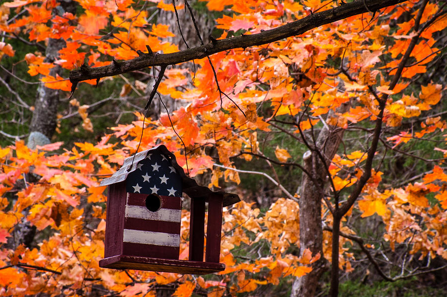 Patriotic Birdhouse - 01 Photograph by Wayne Meyer