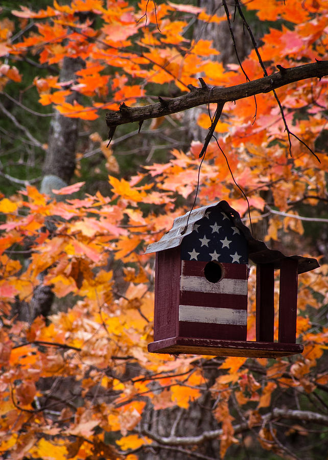 Patriotic Birdhouse - 02 Photograph by Wayne Meyer