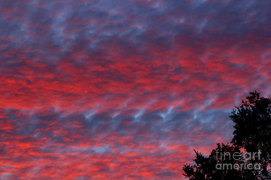 Patriotic Sky at Sunset Photograph by Geri Glavis