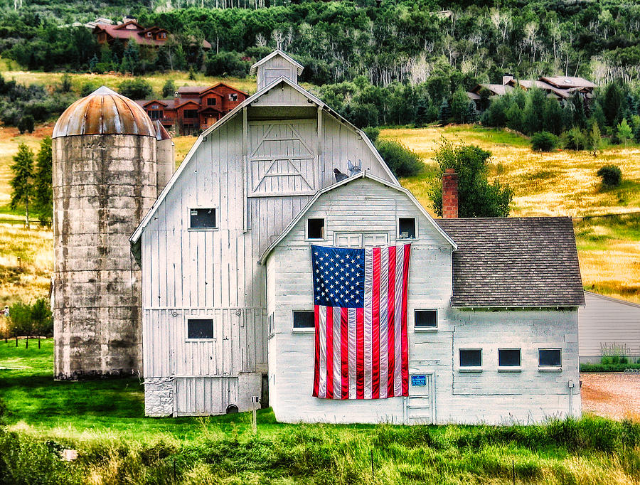 Patriotism At Its Finest Photograph by Cindy Archbell