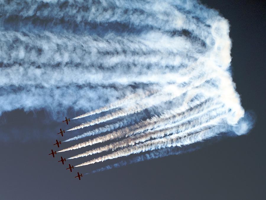 Patrulla agilla Photograph by David Otter - Fine Art America