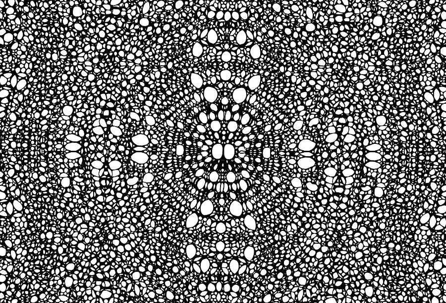 Black And White Painting - Pattern 2 - Intricate Exquisite Pattern Art Prints by Sharon Cummings