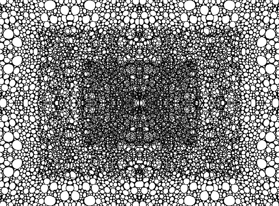 Black And White Painting - Pattern 33 - Intricate Exquisite Pattern Art Prints by Sharon Cummings