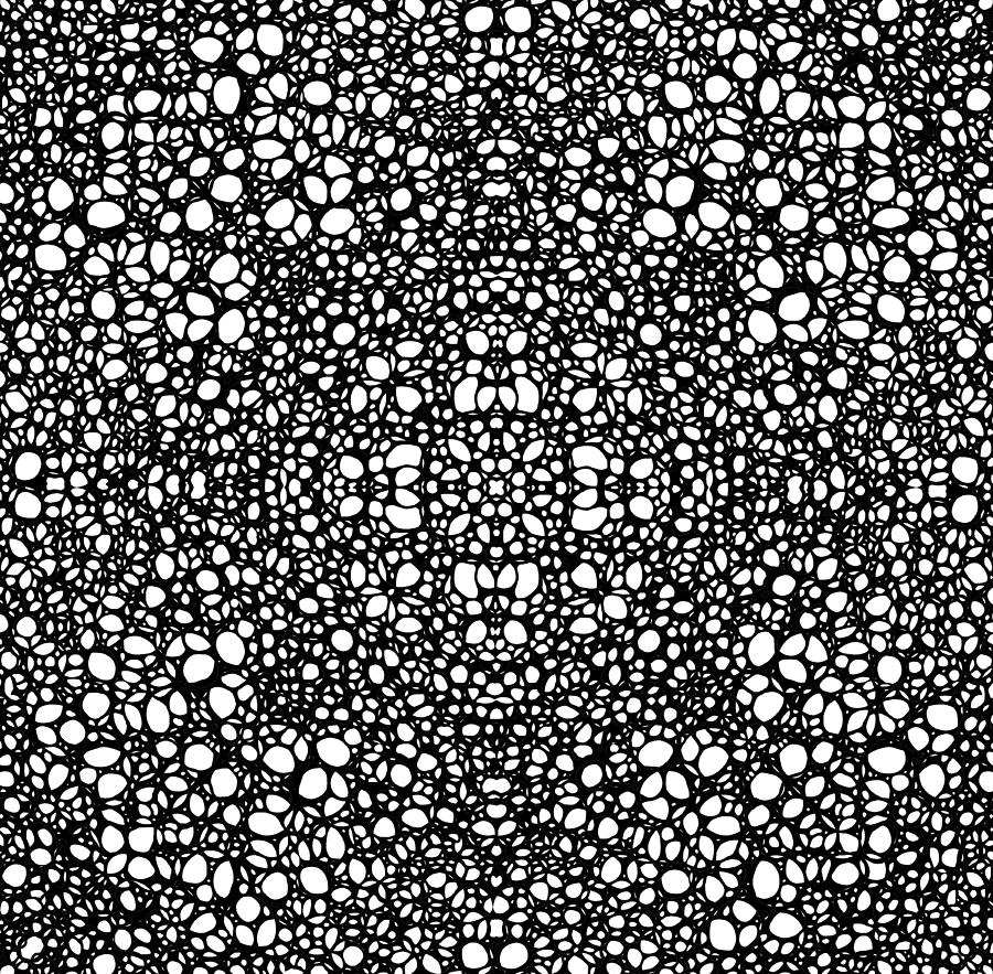 Black And White Painting - Pattern 42 - Intricate Exquisite Pattern Art Prints by Sharon Cummings