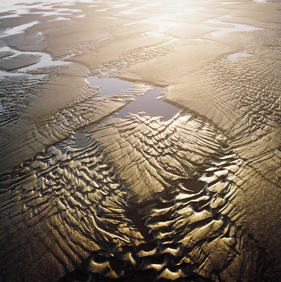 Pattern Of Light On Golden Sand Photograph by Danielle D. Hughson