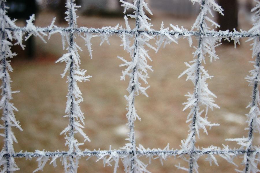 Patterned Frost Photograph by Greni Graph