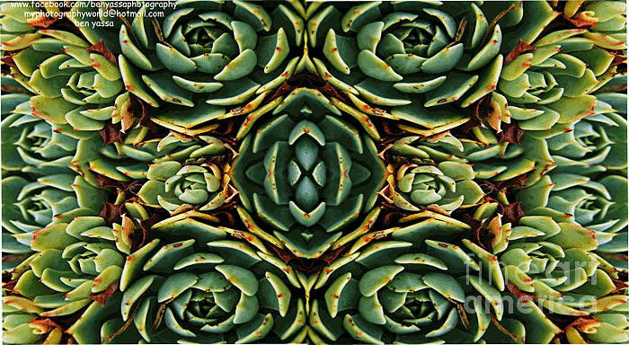 Pattern Photograph - Patterns by Ben Yassa
