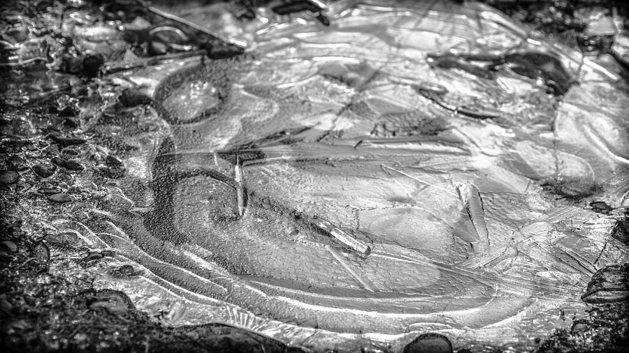 Patterns in Ice 2 Photograph by Ronda Broatch