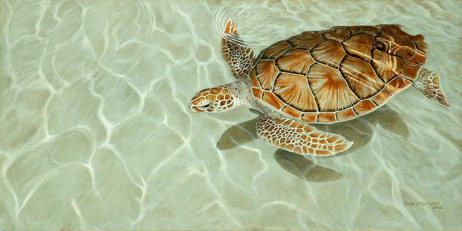 Turtle Painting - Patterns in Motion - Portrait of a Sea Turtle by Dreyer Wildlife Print Collections 