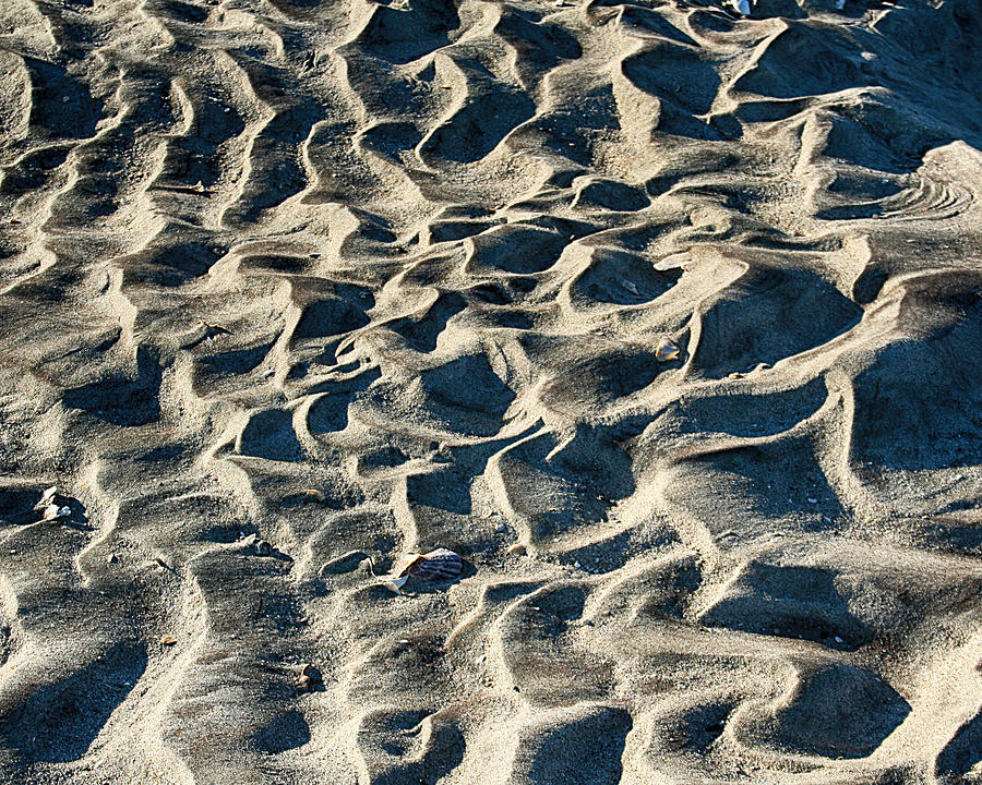 Patterns in Sand 1 Photograph by William Selander