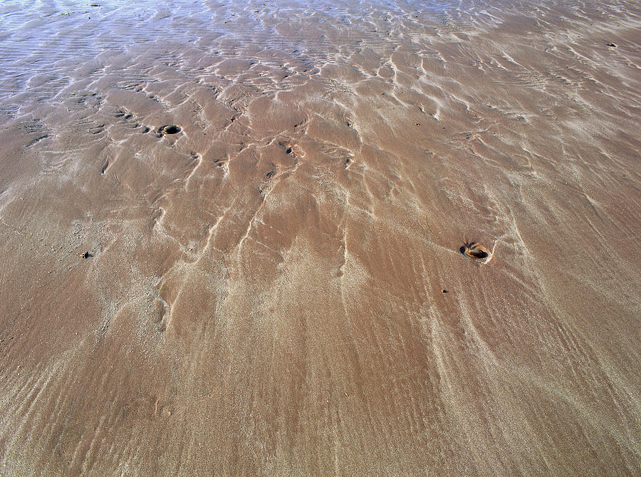 Patterns In Sand On Beach Photograph by Science Photo Library Patterns In Sand On Beach Photograph by Science Photo Library