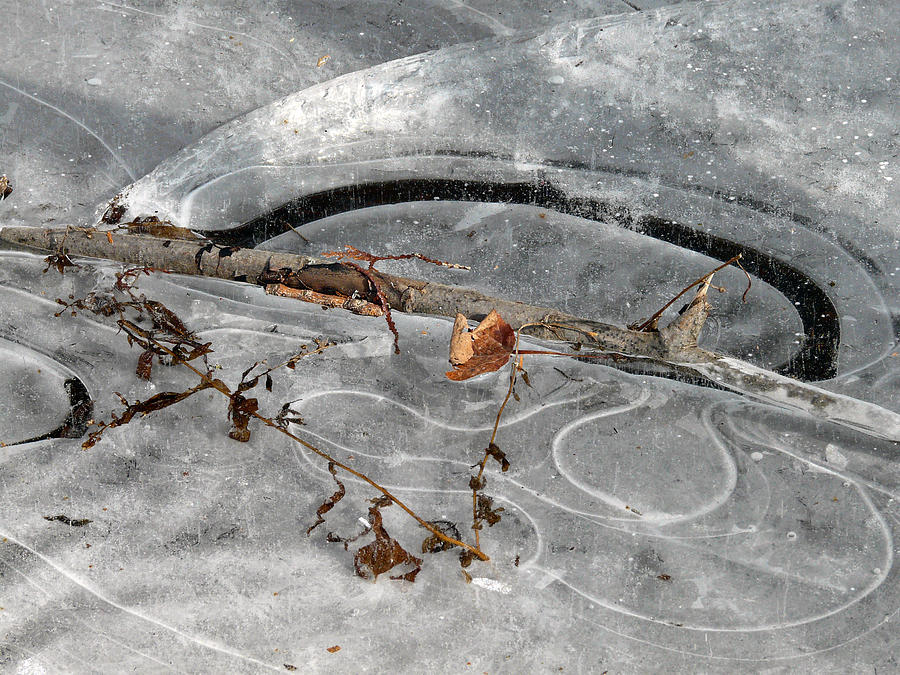 Patterns in the Ice Photograph by Leda Robertson