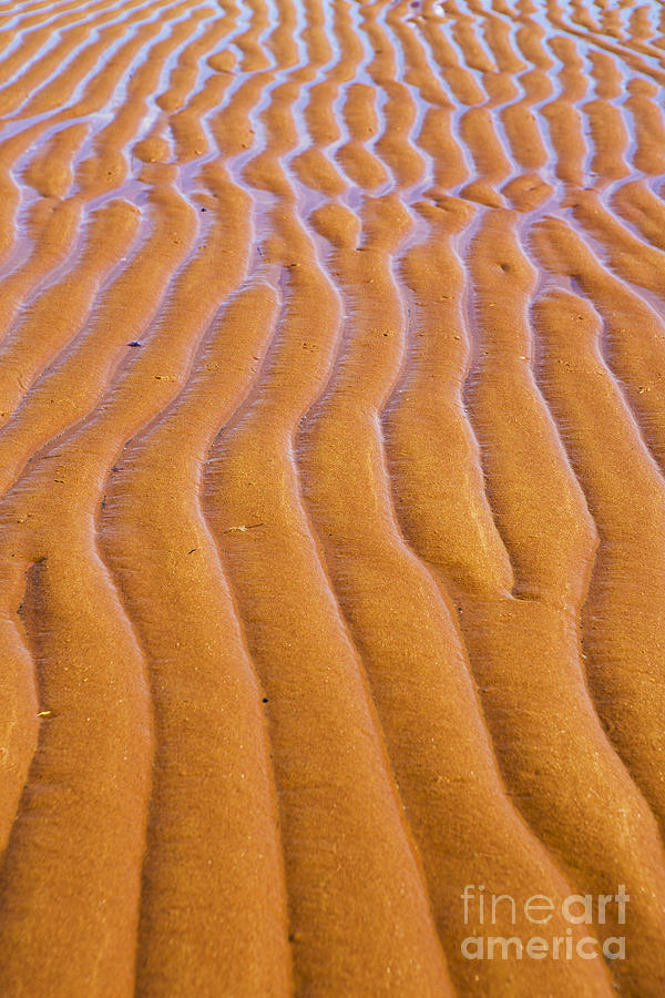 Pattern Photograph - Patterns in the Sand at Low Tide by Diane Diederich
