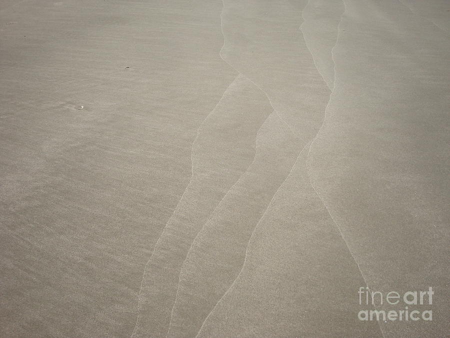 Patterns in the Sand Photograph by Bill TALICH