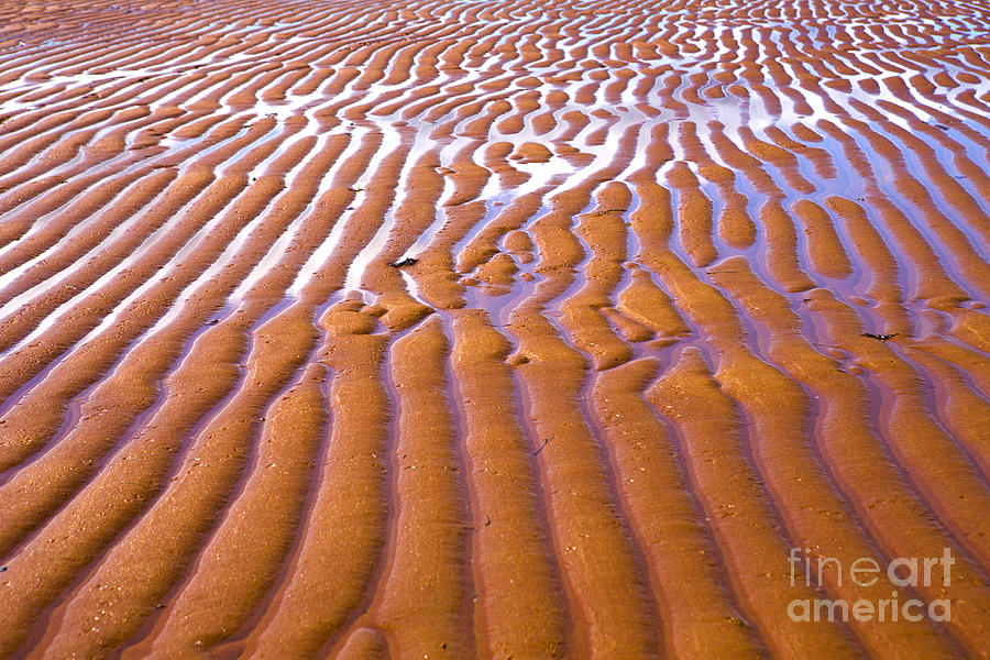 Patterns in the Sand Photograph by Diane Diederich