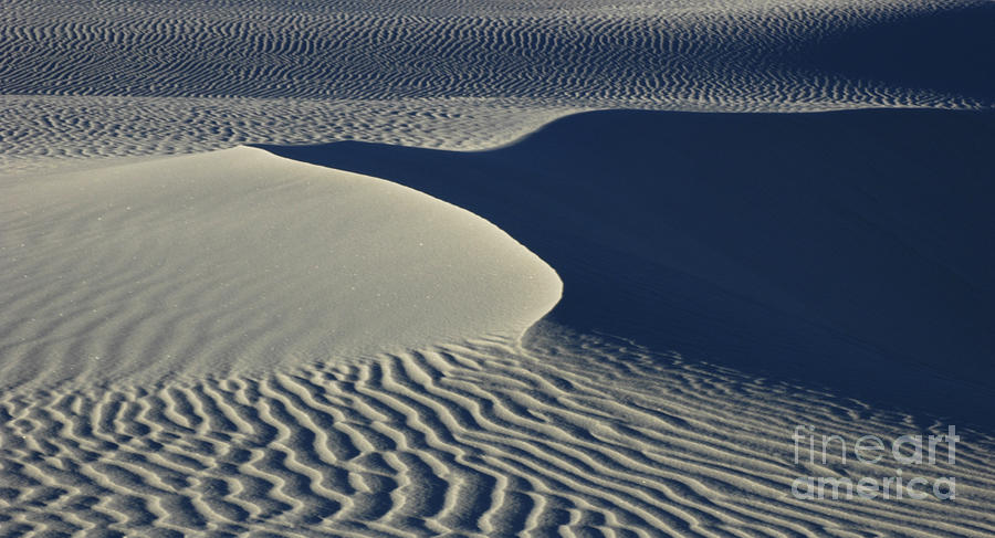 Patterns in the Sand Photograph by Vivian Christopher