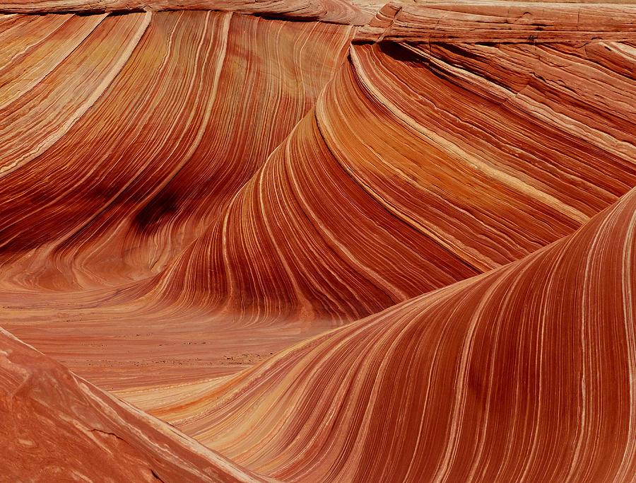 Patterns in the Sandstone Photograph by Alan Socolik