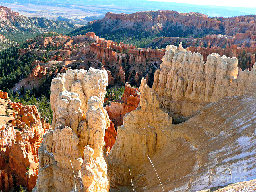 Patterns of Bryce Canyon Photograph by Rachel Gagne