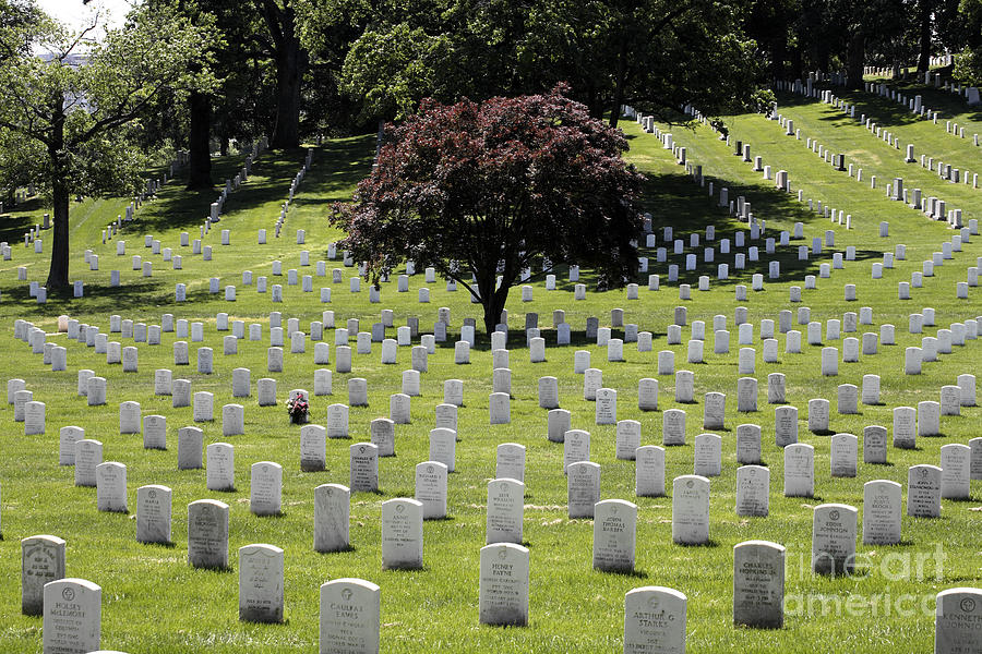 Patterns of Graves at Arlington National Cemetery Photograph by William Kuta