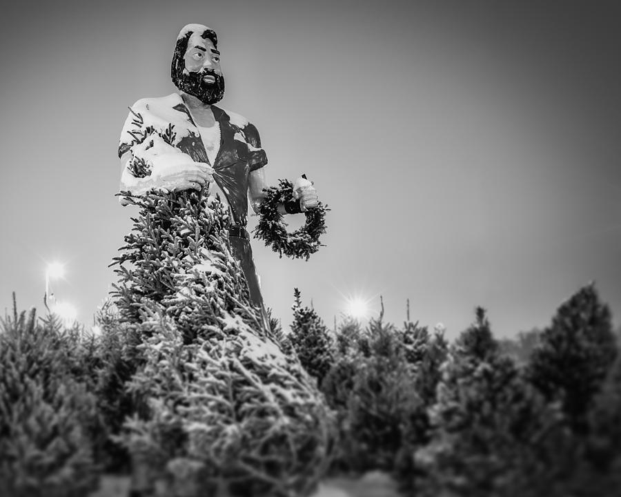 Paul Bunyan over Winter Pines - BW Photograph by Chris Bordeleau