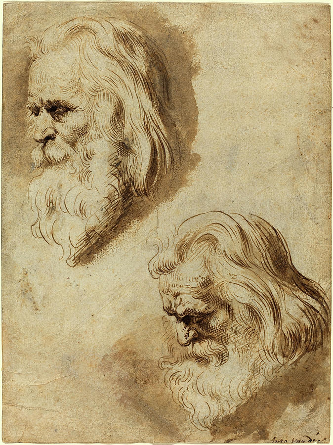 Paulus Pontius After Sir Peter Paul Rubens Drawing by Litz