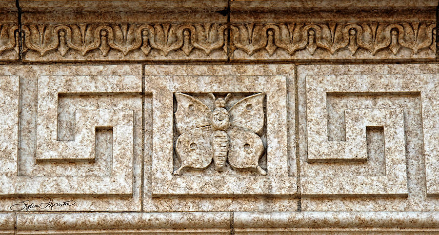 Pawnee Butterfly Frieze I Photograph by Sylvia Thornton