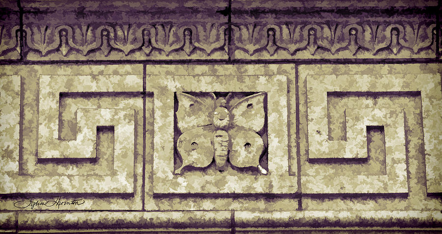 Pawnee Butterfly Frieze II Photograph by Sylvia Thornton