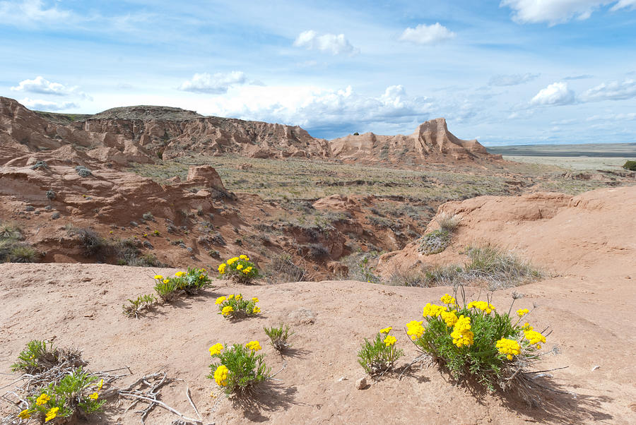 Spring Photograph - Pawnee Buttes Colorado by Cascade Colors